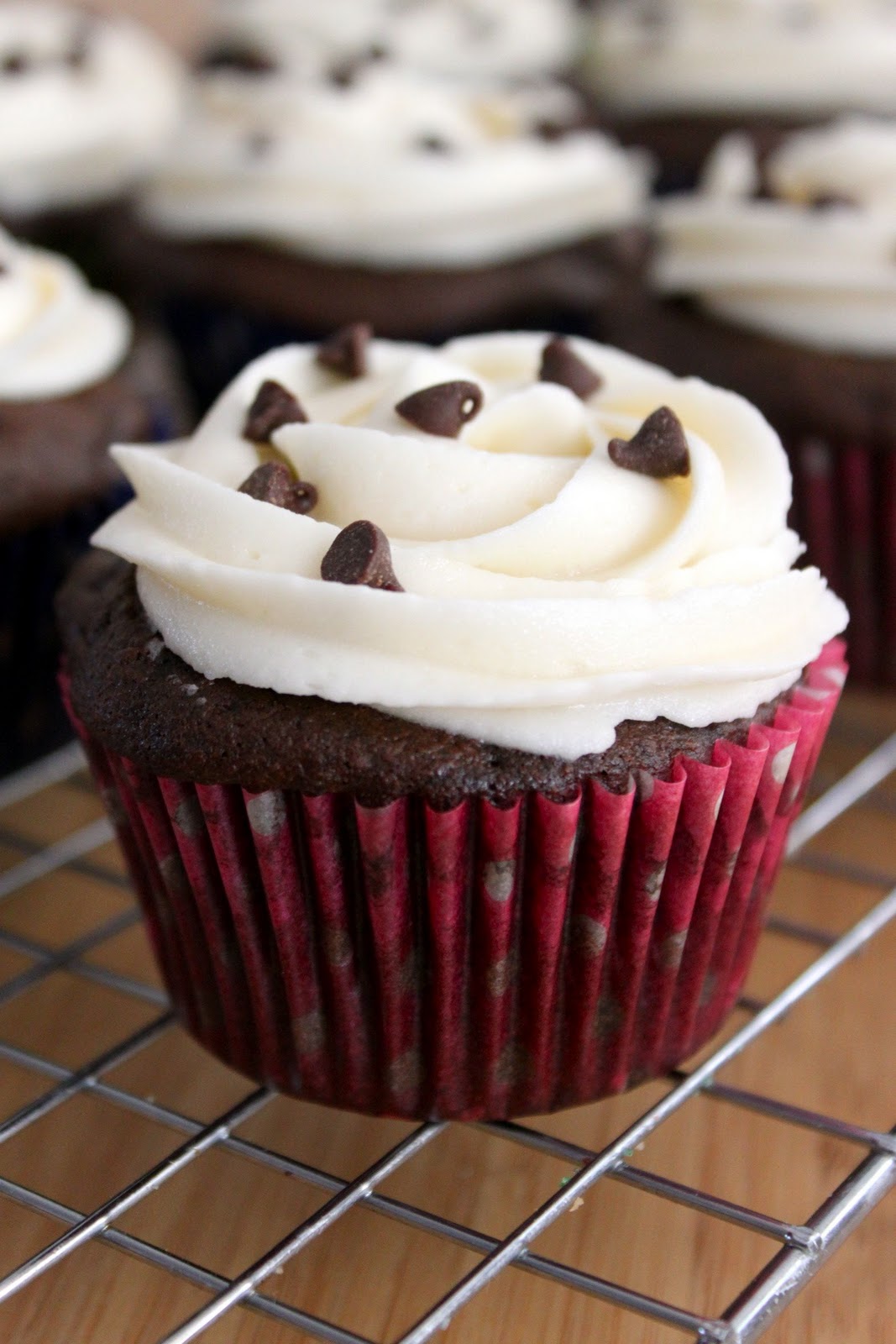Baked Perfection: Chocolate Cupcakes with Vanilla Frosting