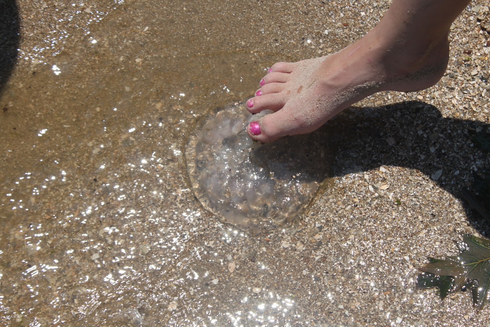 Russman's spot Chesapeake Beach, Maryland