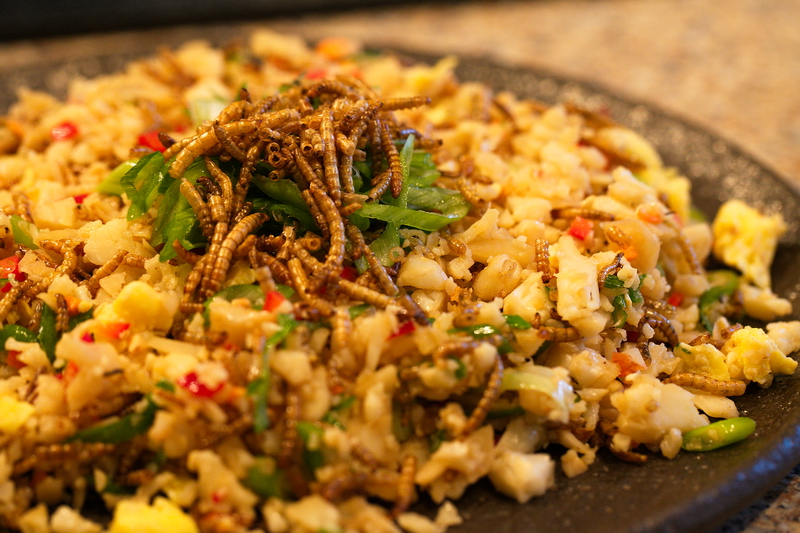 Kitoi's Ancestral Kitchen Mealworm Fried 'Rice'