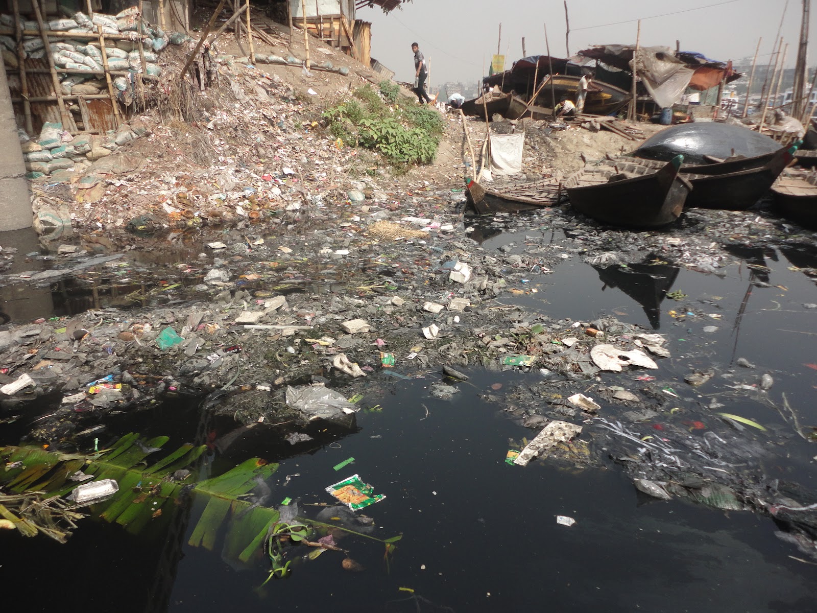 Environmental imbalance essay image