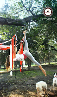 Mexico, Distrito federal, Mexico, formacion profesores, Aero Yoga Institute, Teachers Training, Rafael Martinez, Aerial Pilates, Ecuador, bogota, venezuela, puerto rico, new york, chicago, san francisco, canada seattel, vancouver, illinois, washington, toronto Aerial Fitness, quilmes, cordoba, neuquen, bariloche, canarias, santa cruz e teneriife, malaga, andalucia, leon, castilla, mancha, ciudad realeuskadi, Bracelona, ctalunya, pnensa, presse, tv television,articulos, facebook, youtube, flikr, pinterest, grandada, almeria, alicante, 