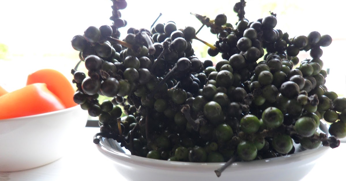 Taste Buds RPI Moroccan Goat & Date Tagine