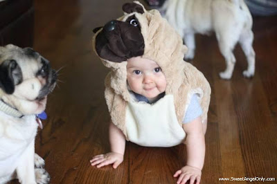 Click on the Image for a Larger View funny_picture_baby_darling