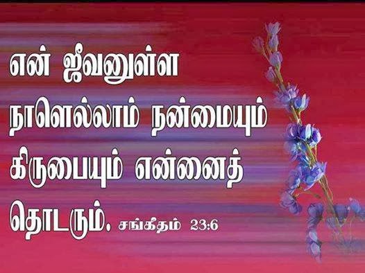 Download HD Christmas & New Year 2018 Bible Verse Greetings Card