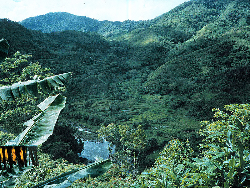 Parc de ranomafana