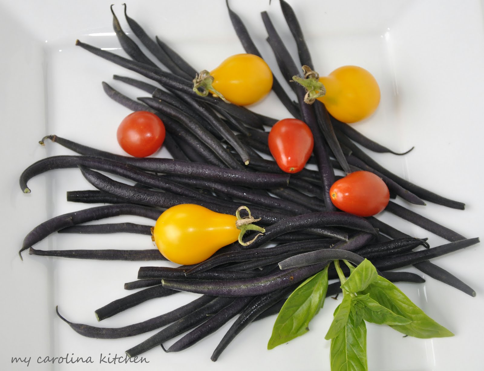 My Carolina Kitchen Purple French Heirloom Beans