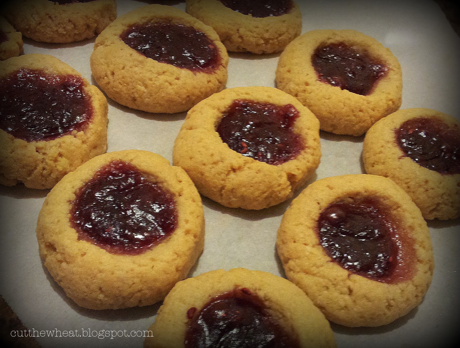 Lunch Box Cookies (Peanut Butter & Jelly Thumbprints) grain free