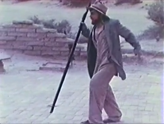 Torgo+Walking.png