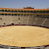 Las Ventas convertida en una huerta