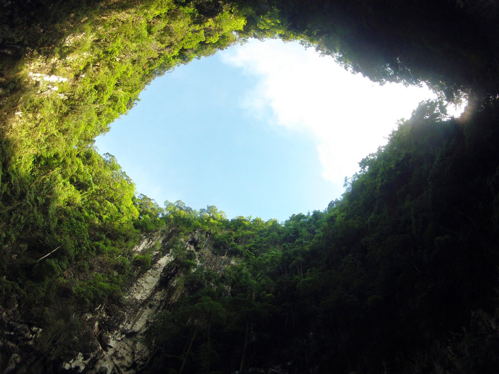 Looking up from the Lagoon