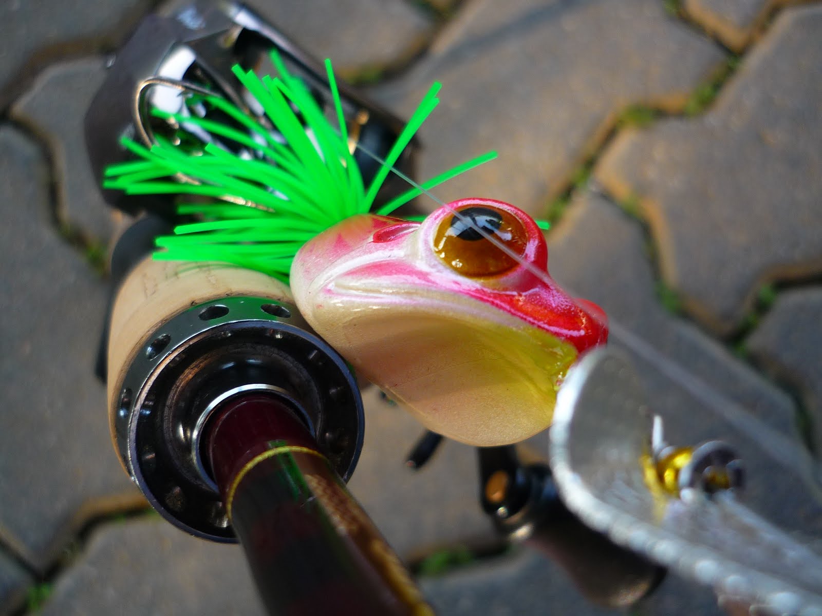 Fisherman Ah Dan Peacock bass on top water lure