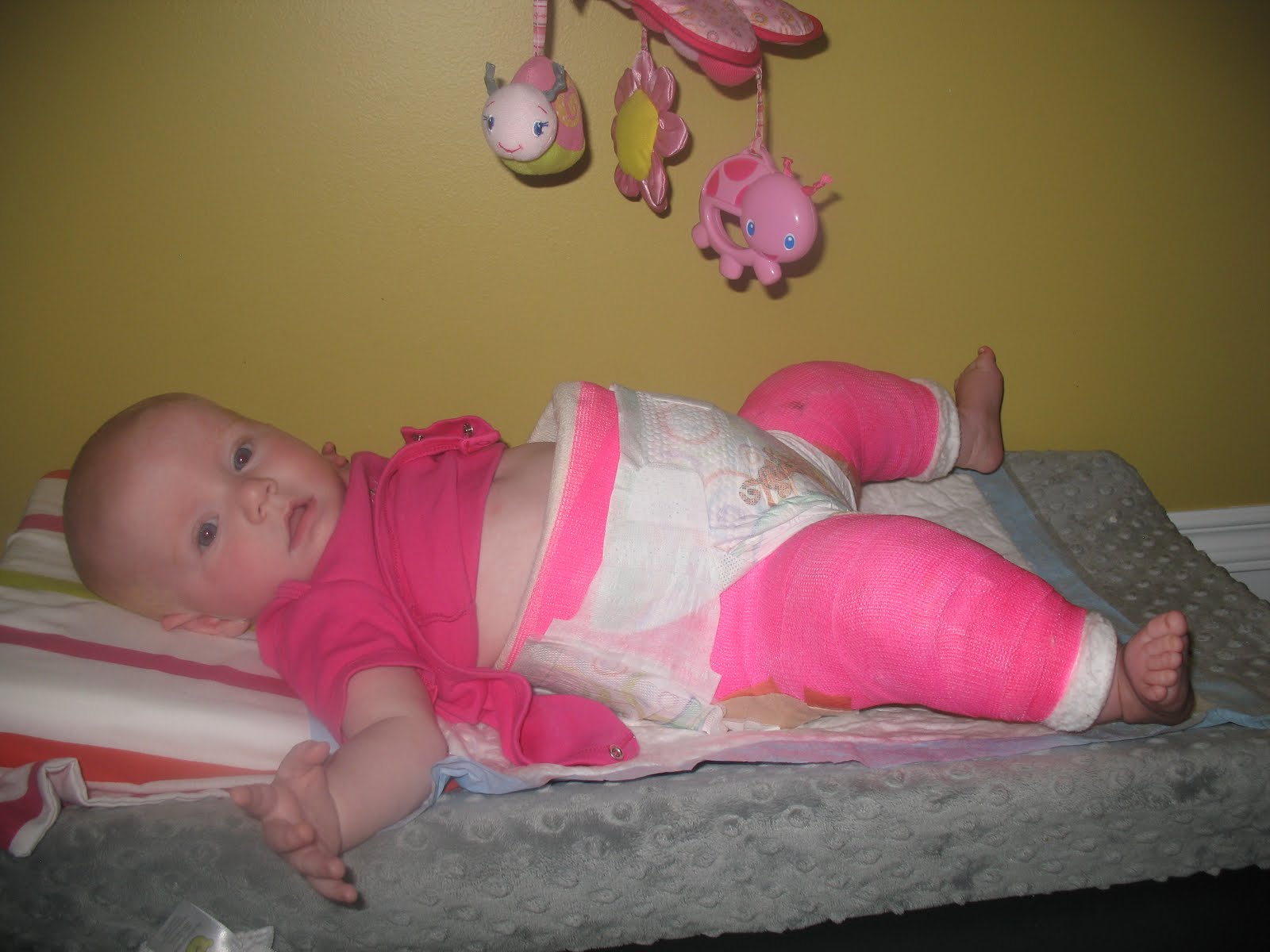 Addie's Journey Spica Logistics