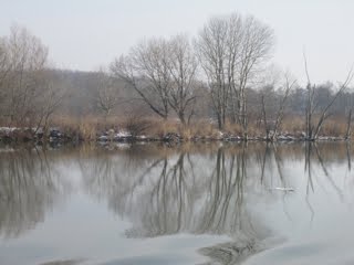 Gorgeous views from the river boat…