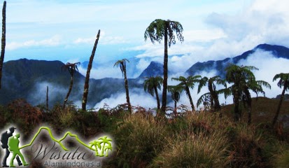 Gunung Binaiya Maluku