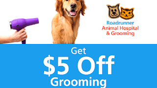 Dog Grooming Peoria Az - Dog Choices