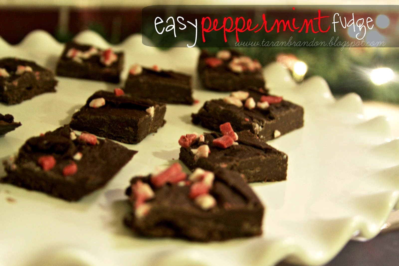 Super Easy Peppermint Fudge The Every Things Mrs Mumaw Fort Wayne