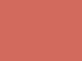Burnt Sienna PANTONE fall 2011