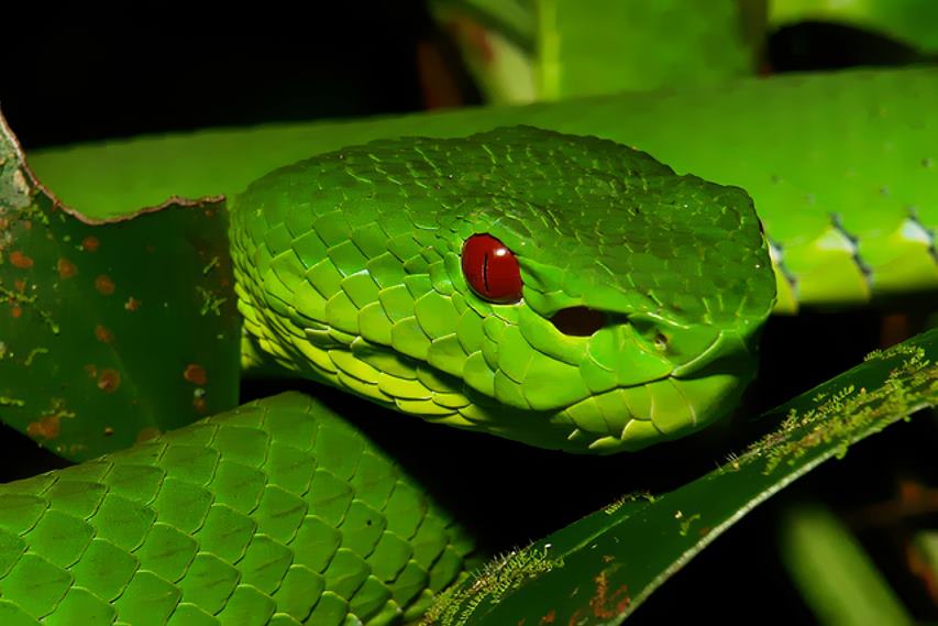 Natureza, Perfeição sem tamanho...