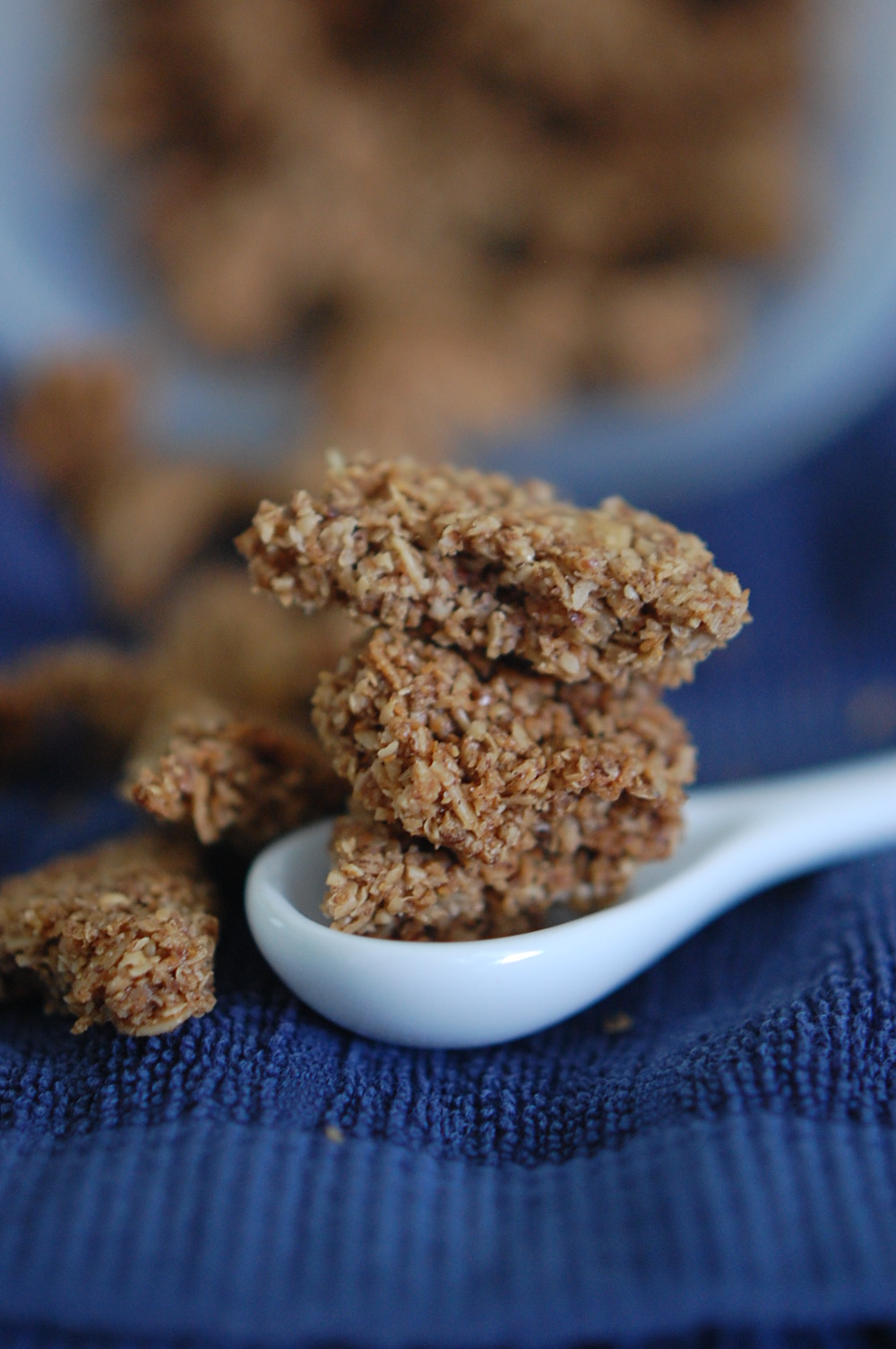Food, Fun & Life Cracklin' Oat Bran Copycat Granola