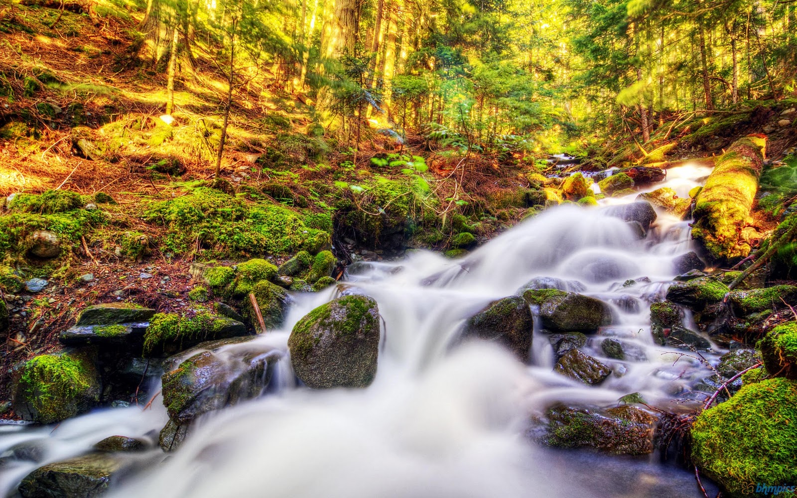 http://4.bp.blogspot.com/-9mfNd4UlqnE/TuhTcG9La3I/AAAAAAAAAp0/fToroLC2stA/s1600/water_fall_wallpaper-1920x1200.jpg