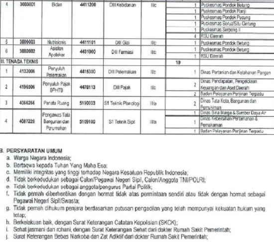 Lowongan Kerja CPNS Pemkot Tangerang Selatan Lowongan Kerja CPNS Pemkot Tangerang Selatan