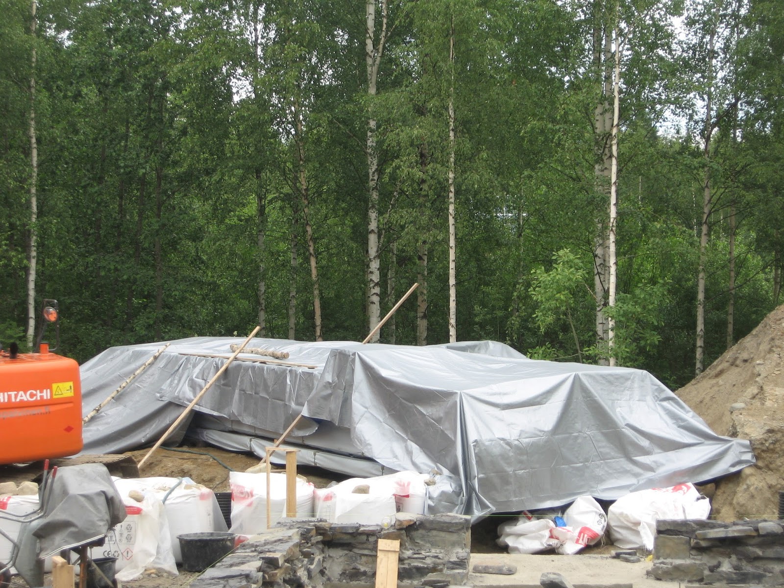 Koiraluostari: juli 2015