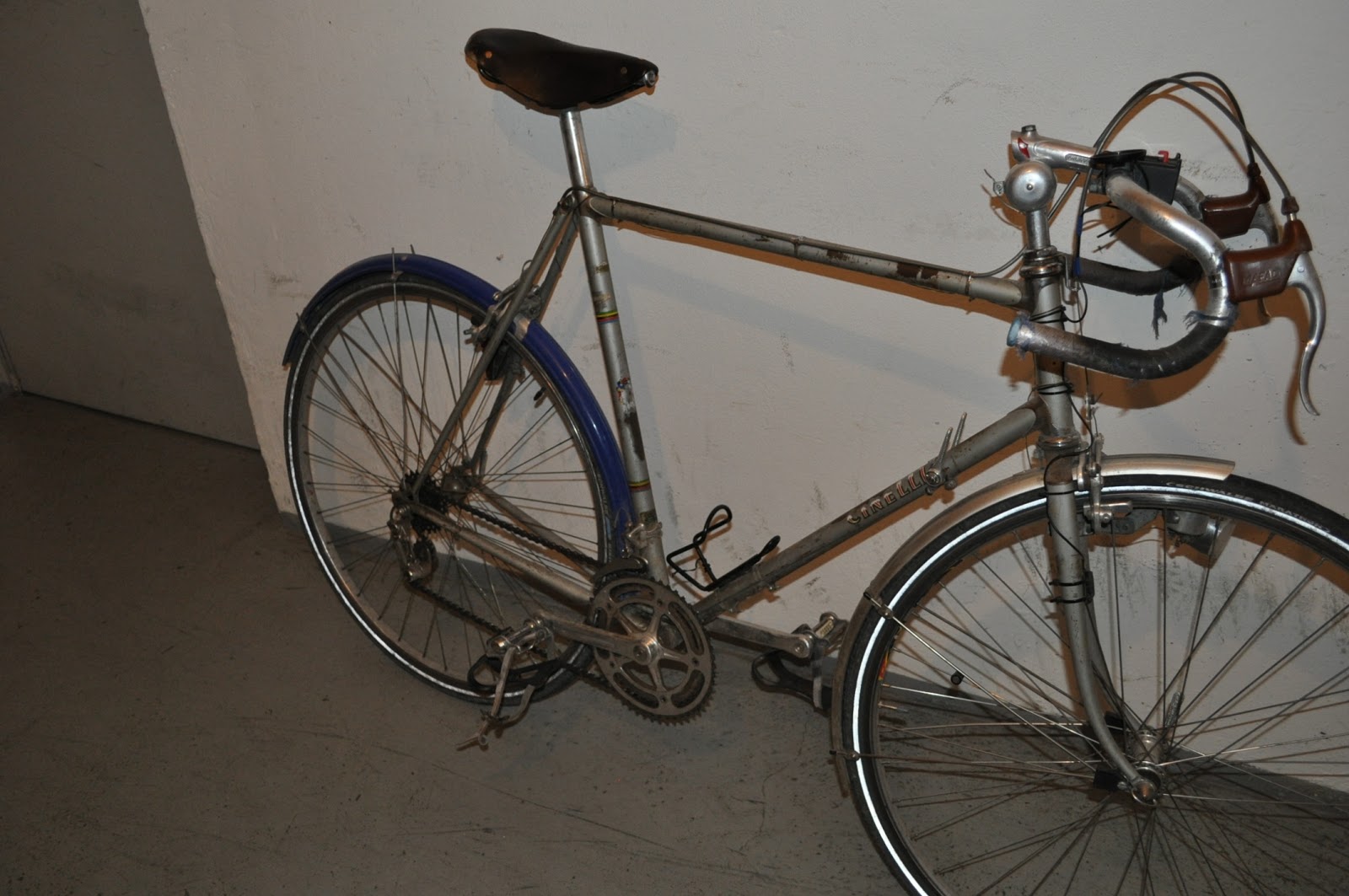 cinelli only