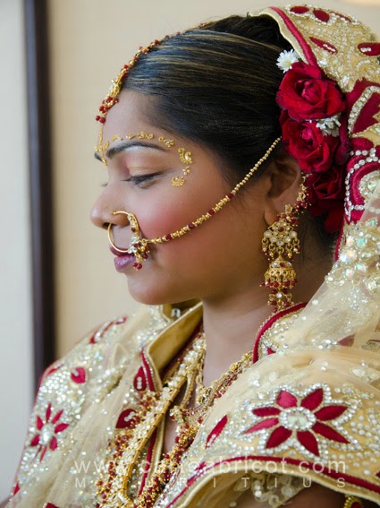 Carte Abricot Wedding Planner A L Ile Maurice Nikita Et Didier Mariage Hindou