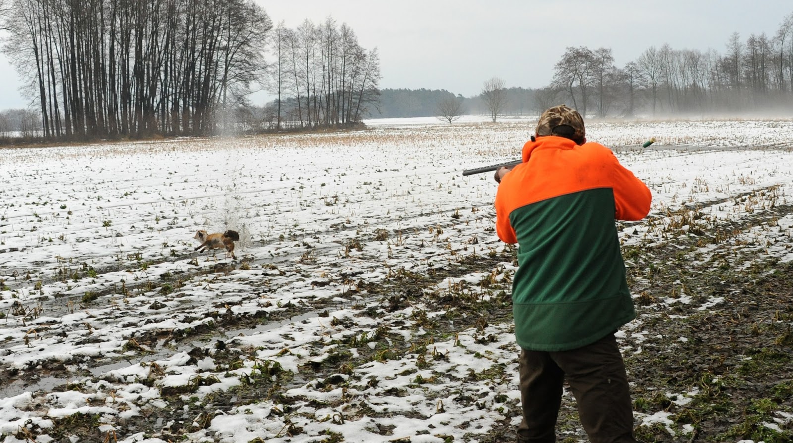 naturfotomross Forst, Wald und Jagd