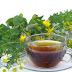 Benefits of Drinking Herbal Tea
