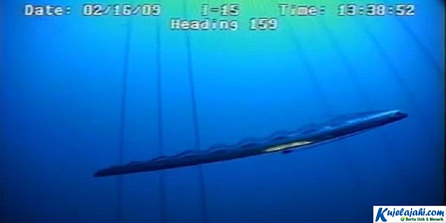Raksasa Laut Dalam Misterius Tertangkap Kamera - Kujelajahi.com Raksasa Laut Dalam Misterius Tertangkap Kamera - Kujelajahi.com