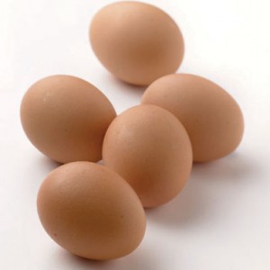 Khasiat Telur
