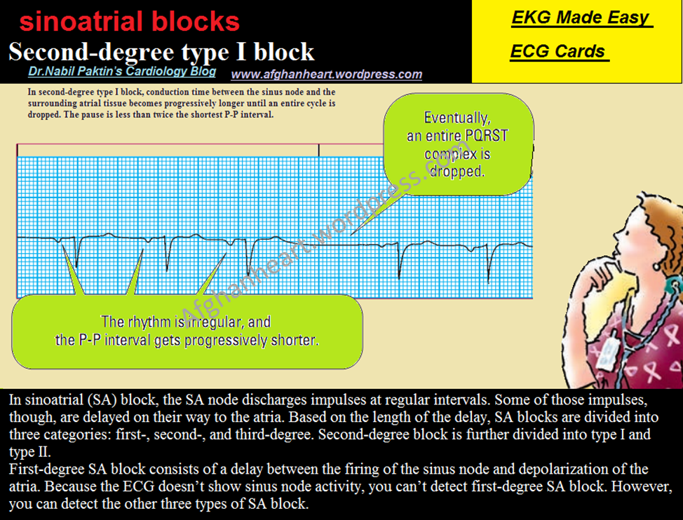 Dr.Nabil Paktin's Cardiology Blog مجله کاردیولوژی دکتور نبــیل پاکطـین