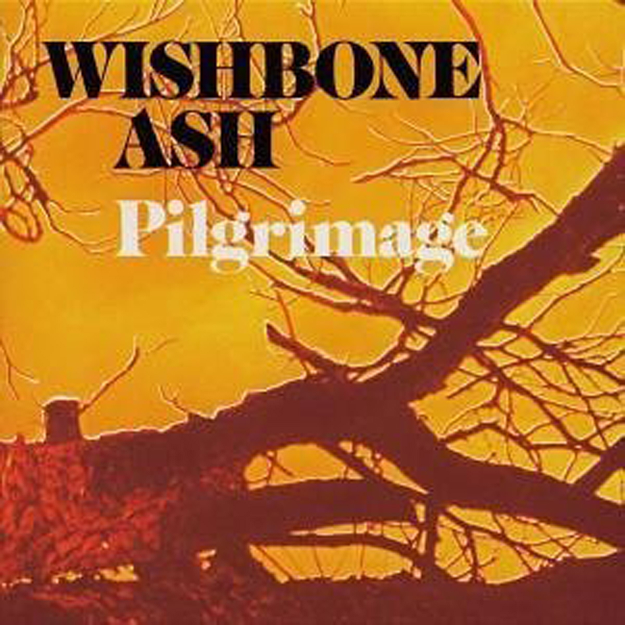 Wishbone Ash - Classic Ash Wishbone Ash - Classic Ash
