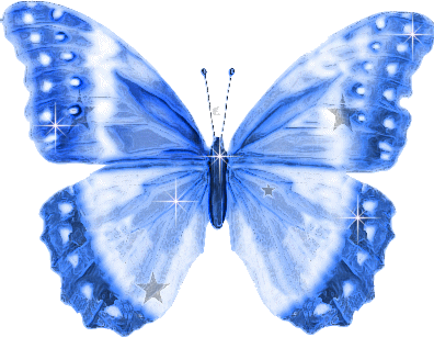 Gif Butterfly