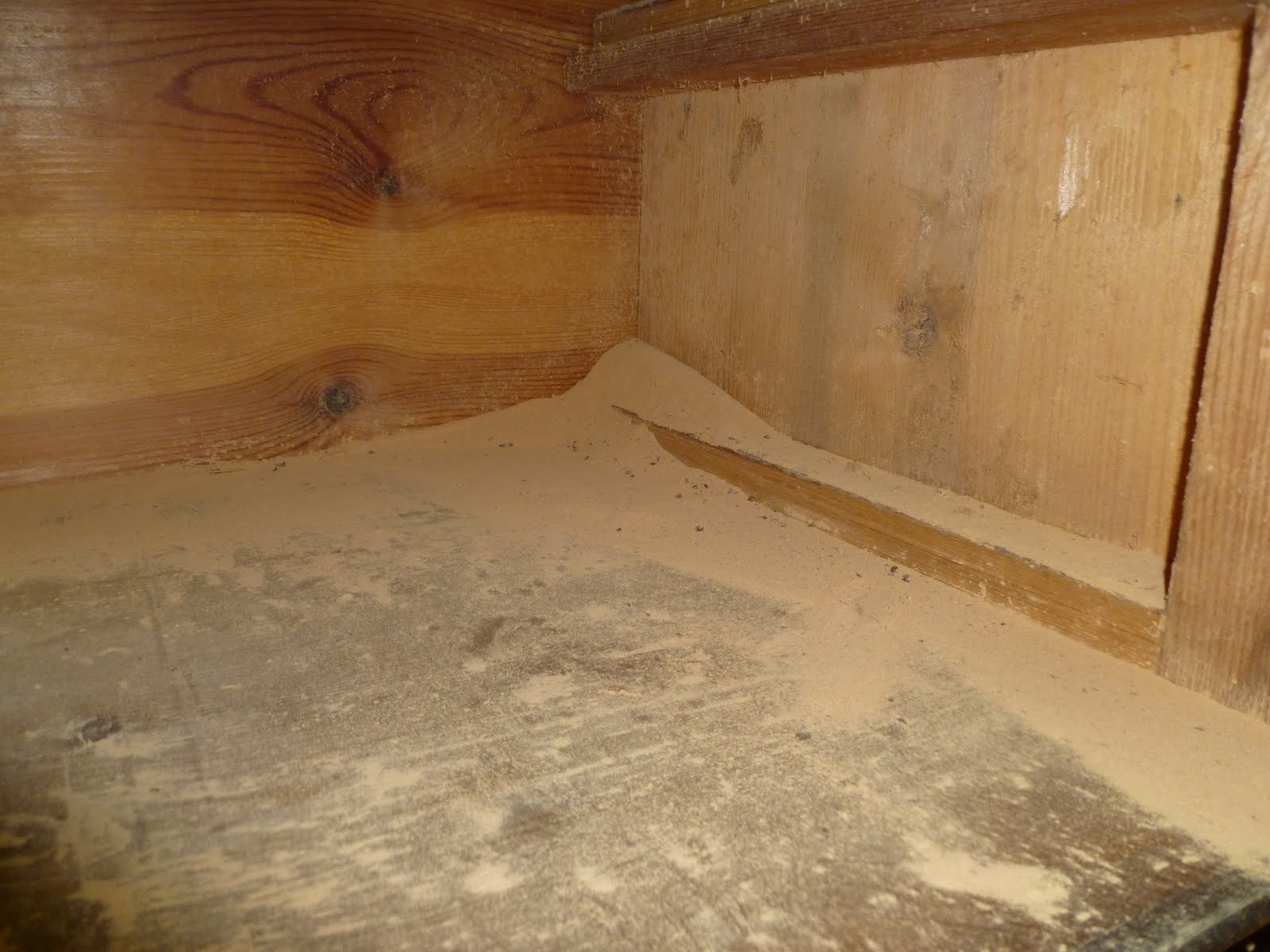 WPatrickEdwards Eaten Alive!