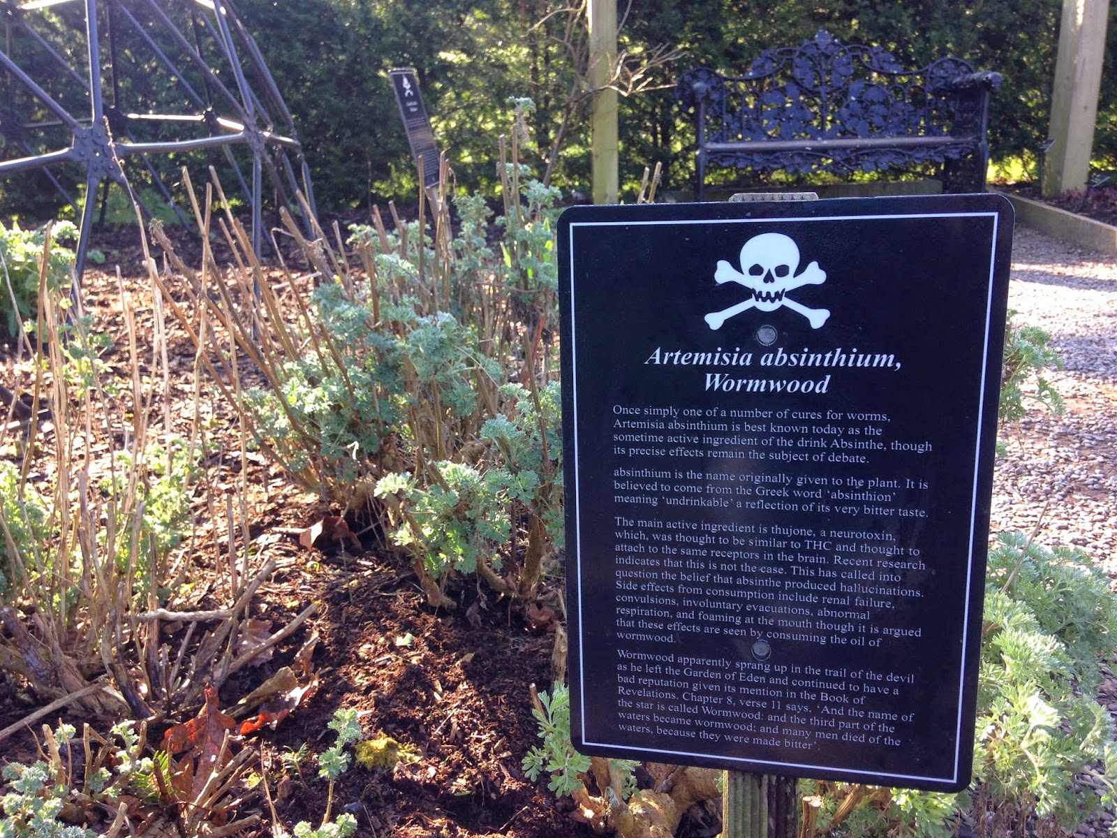 Mystery Playground Blarney Castle Poison Garden