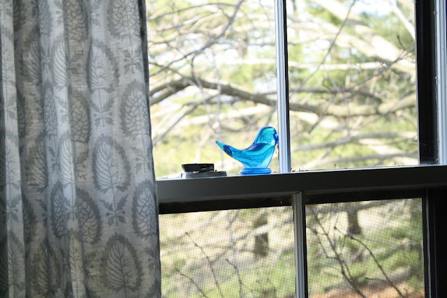 star wars bluebird