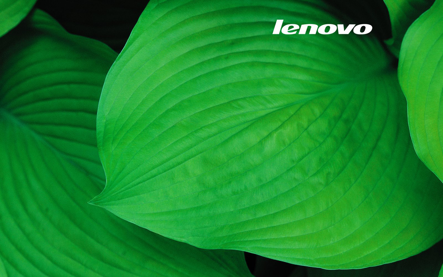 http://4.bp.blogspot.com/-9qVDdlEIECs/Tkv2ELc_v-I/AAAAAAAAAEw/P9PLk05qolQ/s1600/Lenovo-Laptop-Wallpapers-4.jpg