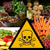 10 Alimentos que são altamente tóxicos para o Corpo Humano.