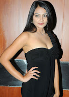 Nikitha, Narayan, -, Latest, Spicy, Pics
