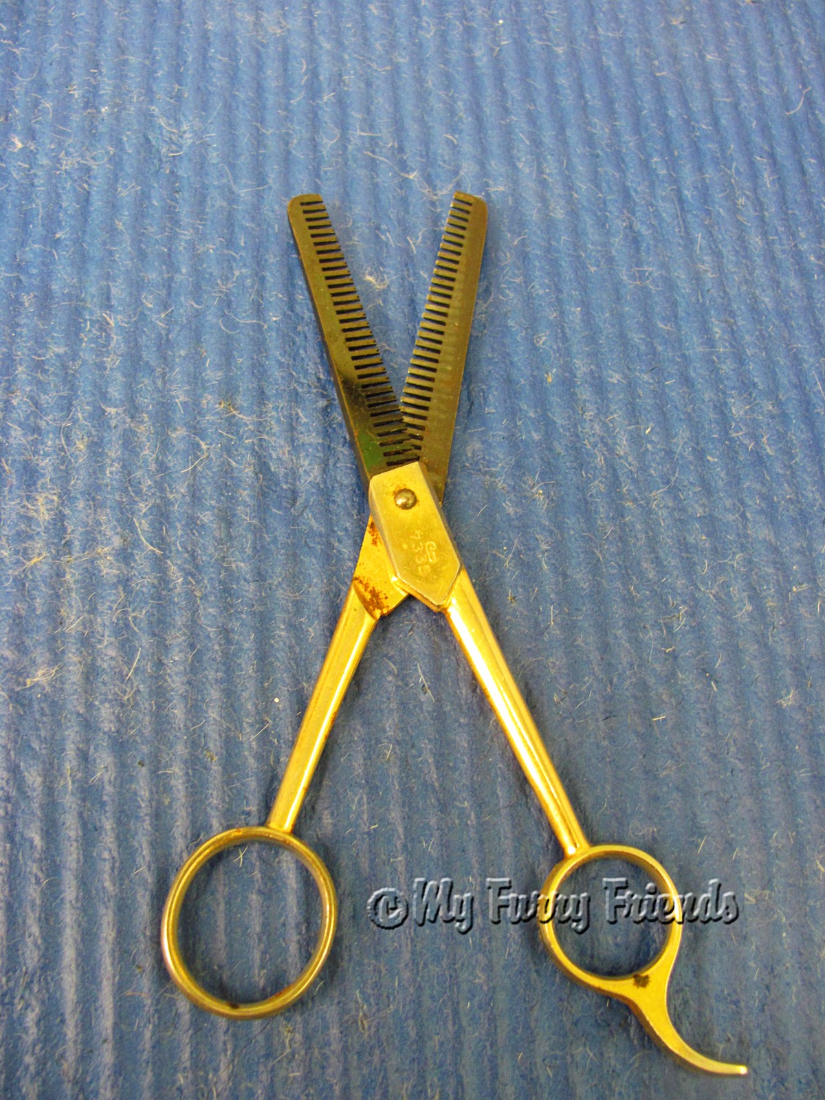  , The Bad, & The Furry: Tuesdays Tip..Dematting with Thinning Shears