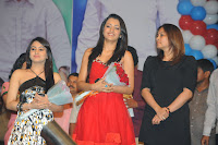 Bodyguard Movie Audio Launch Gallery