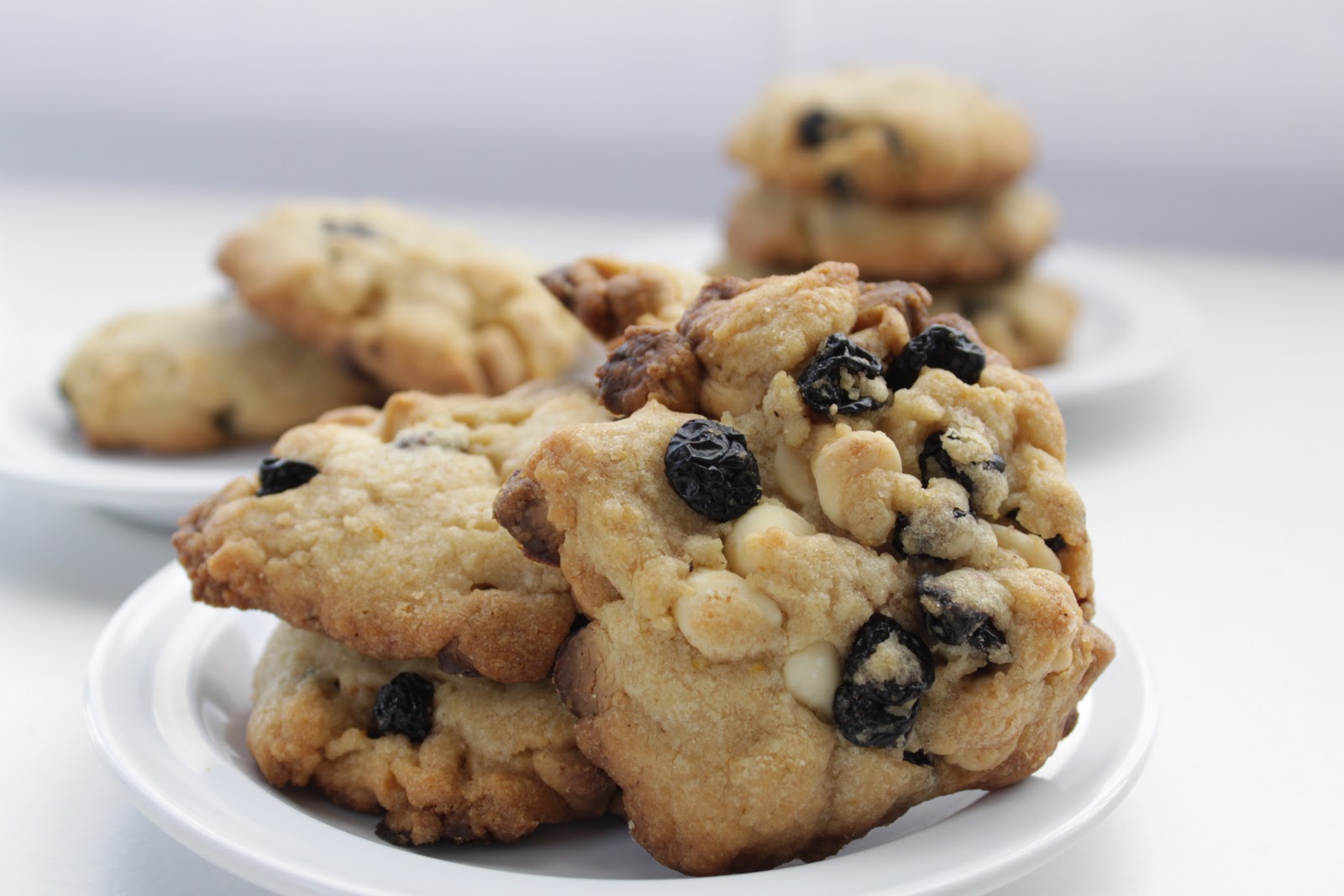 Life's Too Short to Skip Dessert Blueberry and White Chocolate Chip