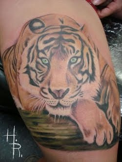 what now tattoos baby tiger tattoo design on the body cool girls what now tattoos baby tiger tattoo design on the body cool girls
