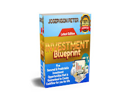 THE INVESTMENT BLUEPRINT