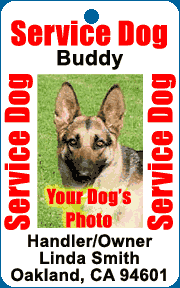 Ny State Service Dog Registration Ny State Service Dog Registration