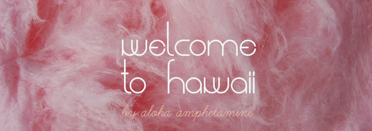 welcome to hawaii
