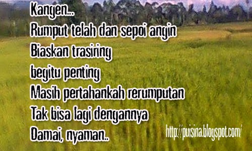 Puisi Alam Indahnya Rerumputan PUISINA