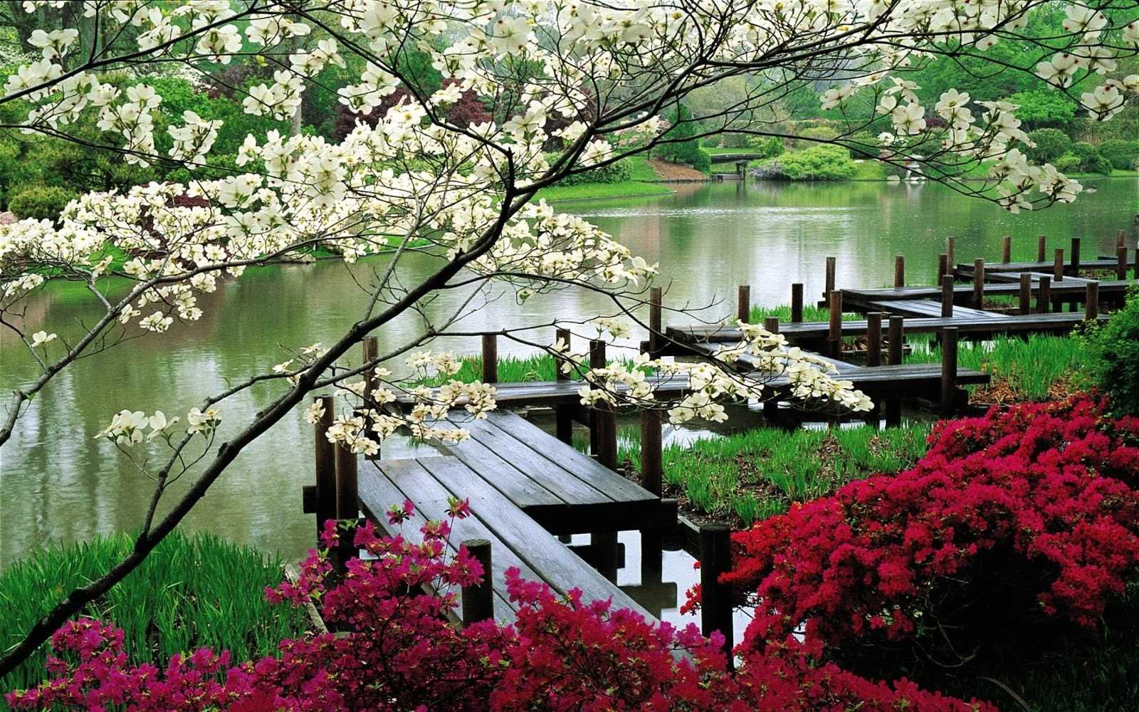http://4.bp.blogspot.com/-9tBlKOcFSEQ/T5FaYhUOocI/AAAAAAAADbc/jNJyo_Wicbc/s1600/lakeside-zig-zag-path-windows-8-wallpaper-2560x1600.jpg